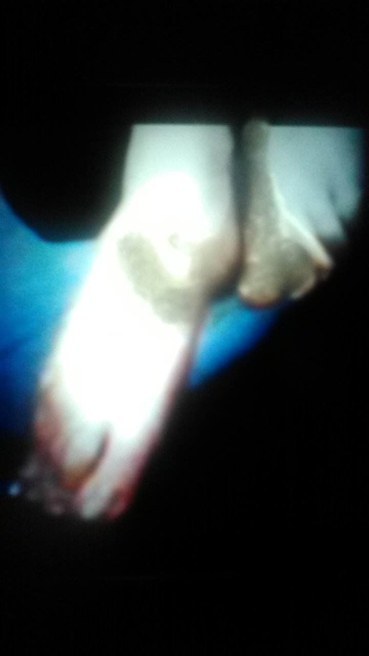 McZoZ2Gq Emma Watson Cum Tributes 56.jpg